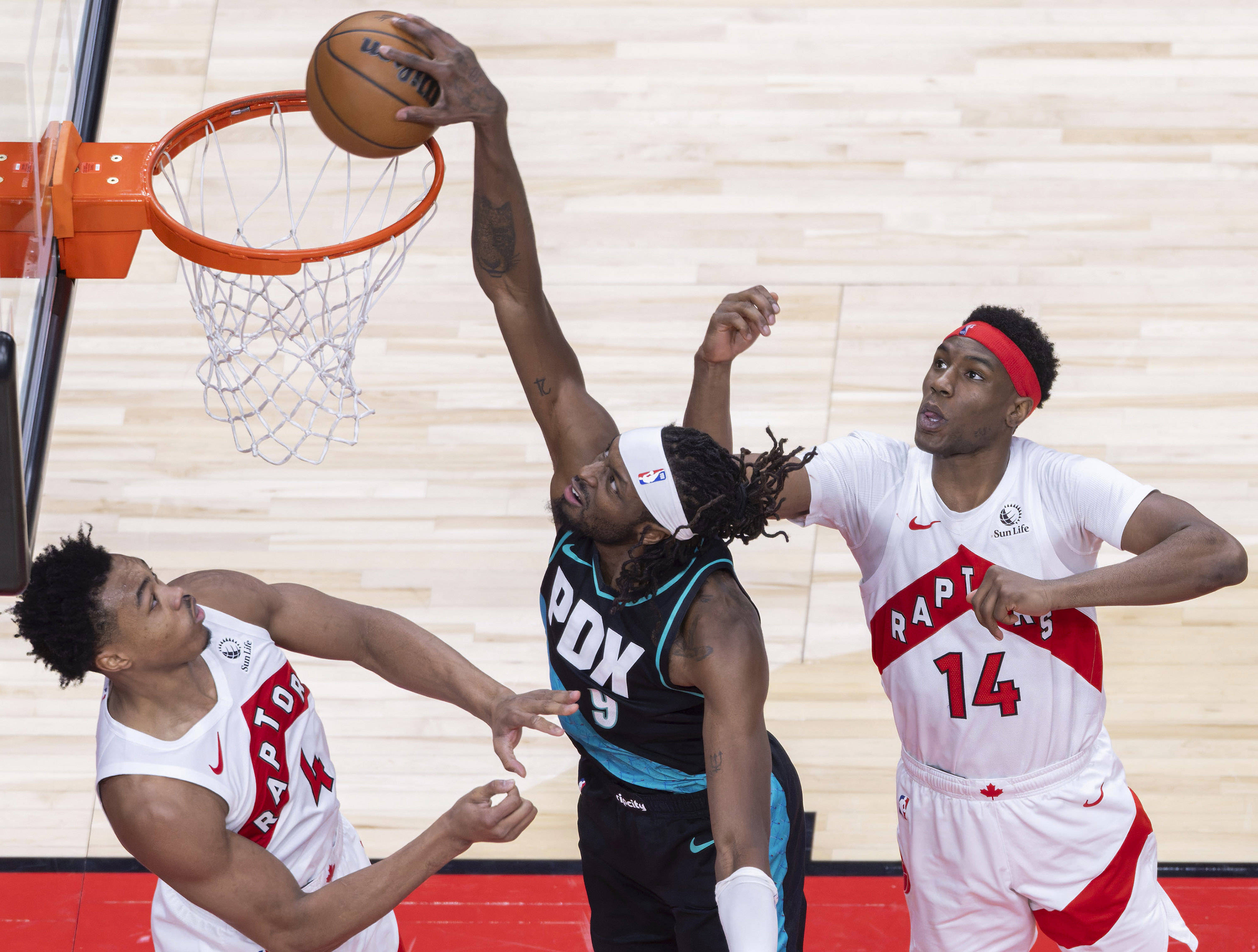 多伦多猛龙队总冠军